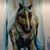 Shala Crisp's profile image