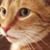 Heide Lynn's profile image