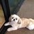 Donna Leech's profile image