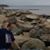 Chris Antonellis's profile image