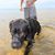 Pat Bailey's profile image