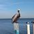 Rick Bledsoe's profile image
