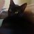 Maggie LuLu's profile image