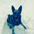 Eric Rick Gorney's profile image