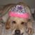Lucy Hemphill's profile image