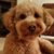 Linda Patnode's profile image