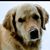 Bonnie Sue Rowe Jones's profile image