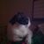 Nancy Christopher's profile image