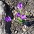 Lucretia Olsen's profile image