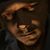 Frank Moreland's profile image