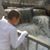 Janice Selton-Anderson's profile image