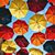 Karen Seebach's profile image