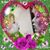 Pam Ness's profile image