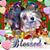 Starr Allison's profile image
