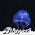 Maria Neuhold's profile image