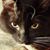 Jill Feldman McMahon's profile image