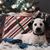 Deb Teneyck Cahoy's profile image
