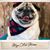Jenny Chlebda's profile image