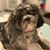 Kathy Boettcher's profile image