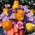 Pamela Baynes Lippmann's profile image