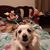 Dottie Russell's profile image