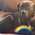 Myra Grzeskiewicz's profile image