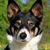 Debbie Baracco's profile image