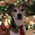 Lorey Weagel's profile image