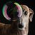 Elke Franklin's profile image