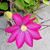 Jill Kirts's profile image