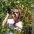 Carey Turner's profile image
