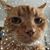 Christi Henthorn's profile image