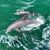 Tina Wheeler Verstrate's profile image