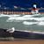 Sue Waskow's profile image