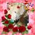 Martina Little-Boy's profile image