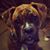 Stephanie Pavliska's profile image
