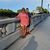 Sheila M Sutton's profile image