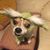 Mary Lou Carter's profile image