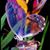 Alexandra Mackey's profile image