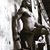 Terrence Guidry's profile image