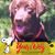 Dan Lay's profile image