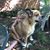 Shelly Poteet Naiser's profile image
