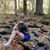 Dawn Crum's profile image