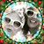 Krissi Mccullough Stelzer's profile image