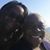 Elerine Anderson's profile image