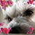Sheree Bryant's profile image