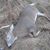 Darrell Myers's profile image