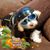 Debi Crowder's profile image