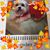 Rose-Marie Laviano's profile image