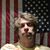 Dave Winberg's profile image